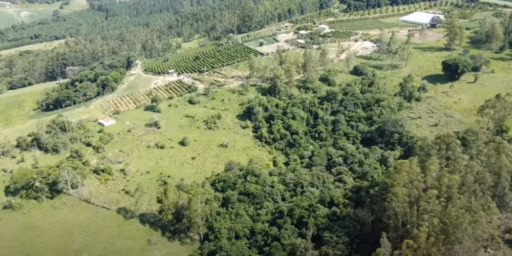 Chácara de 3 ha em Tomazina, PR