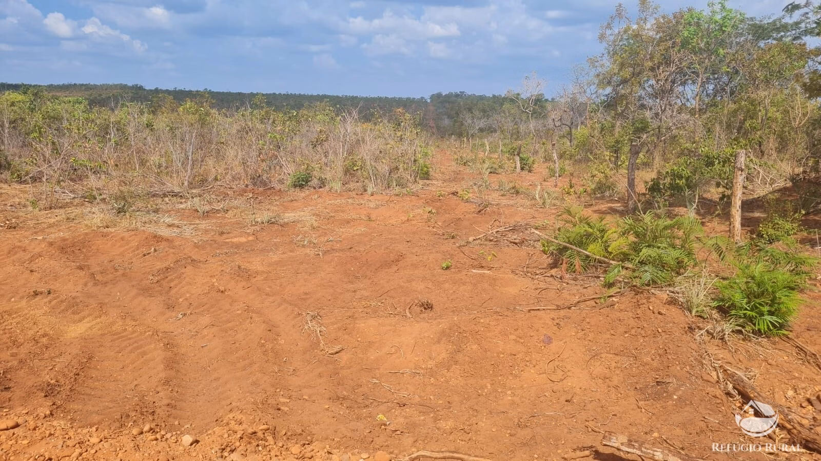 Fazenda de 2.552 ha em Paranã, TO