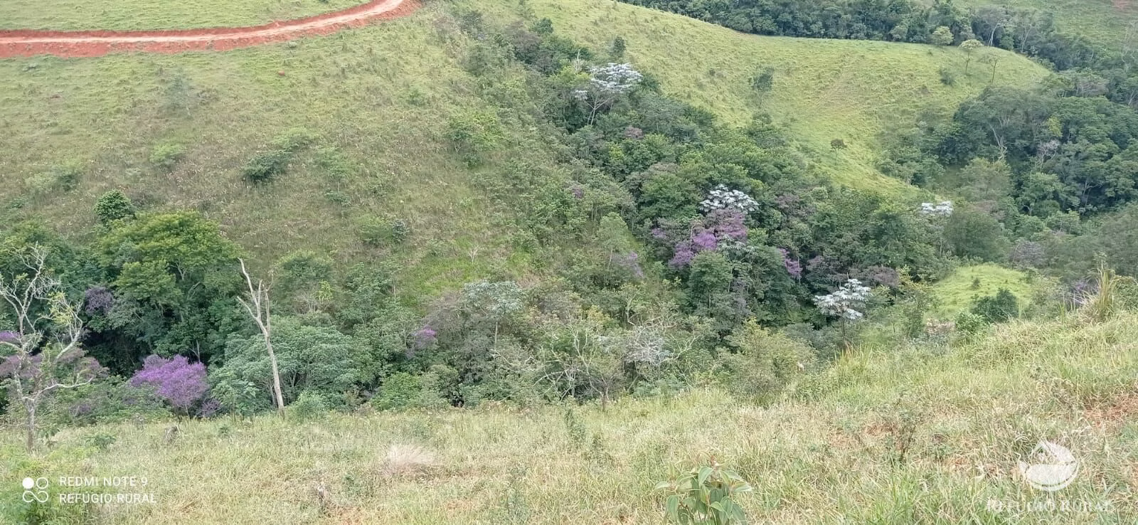 Sítio de 53 ha em Monteiro Lobato, SP