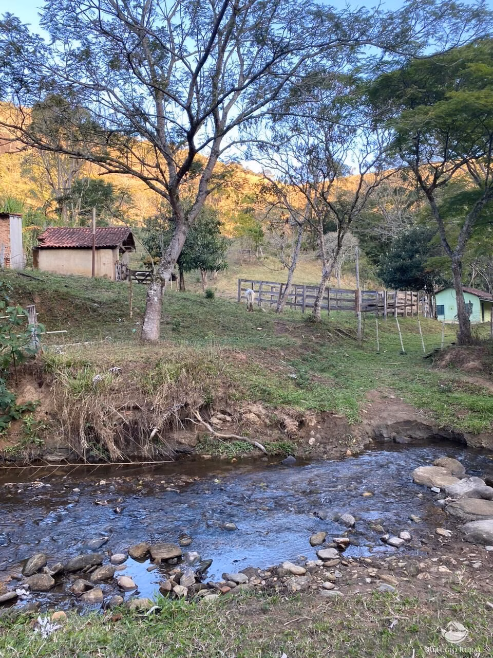 Small farm of 20 acres in Guaratinguetá, SP, Brazil