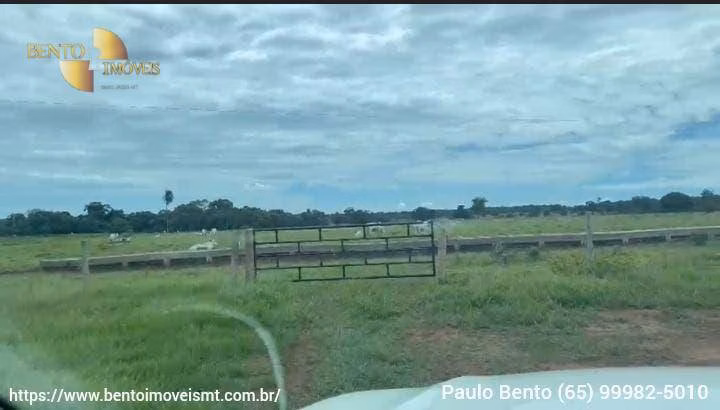 Fazenda de 301 ha em Porto Esperidião, MT