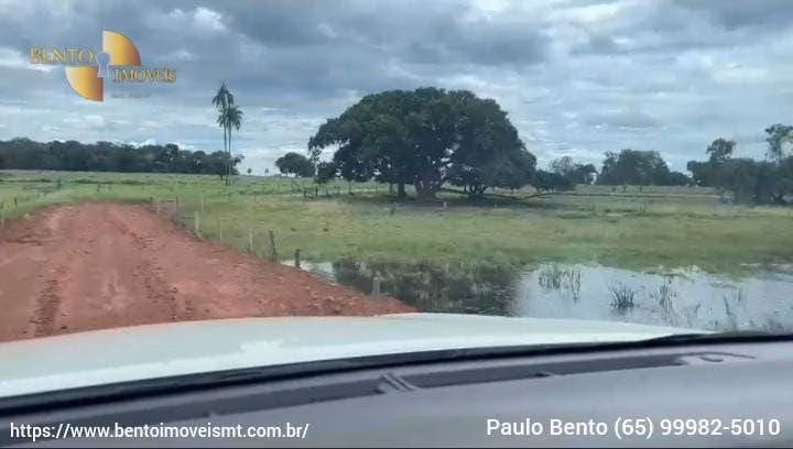 Fazenda de 301 ha em Porto Esperidião, MT