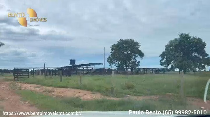 Fazenda de 301 ha em Porto Esperidião, MT