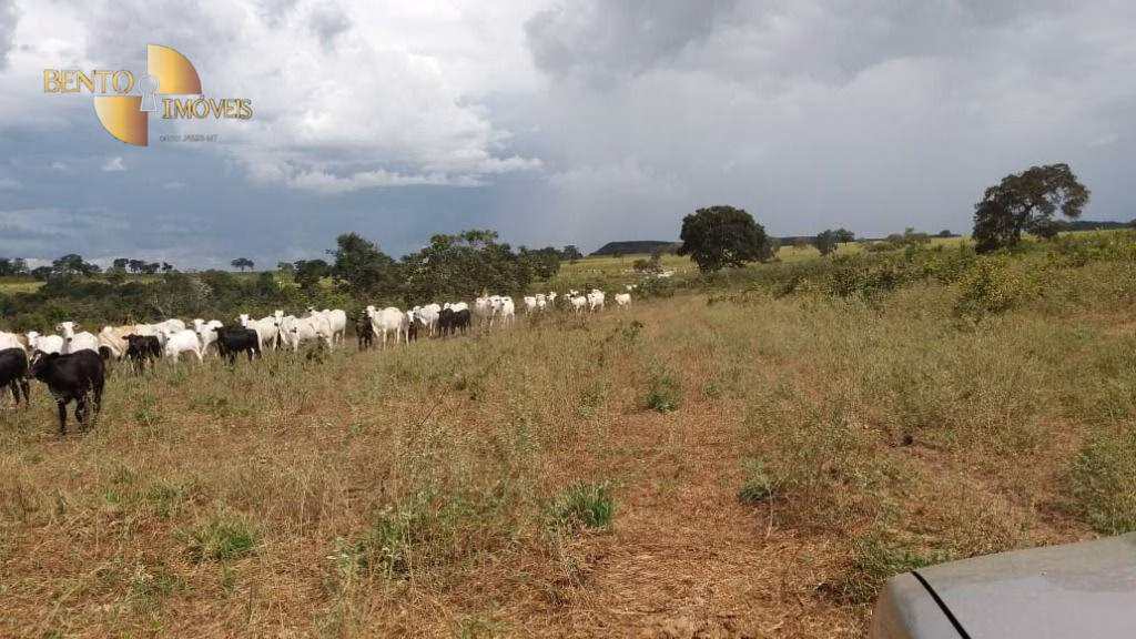 Fazenda de 3.080 ha em Guiratinga, MT
