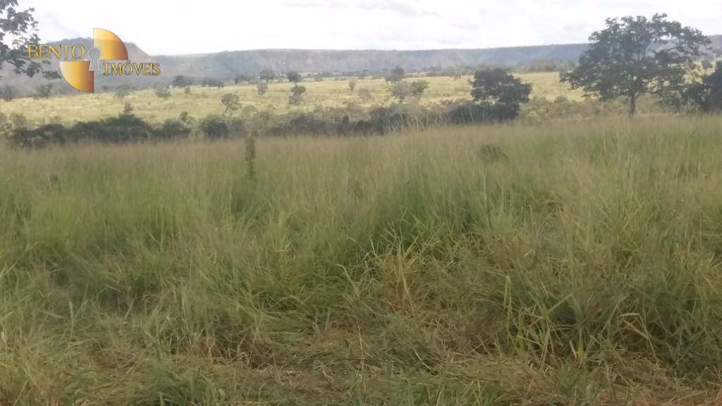 Fazenda de 3.080 ha em Guiratinga, MT