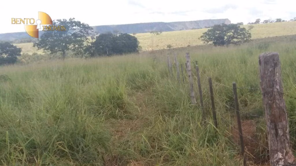 Fazenda de 3.080 ha em Guiratinga, MT