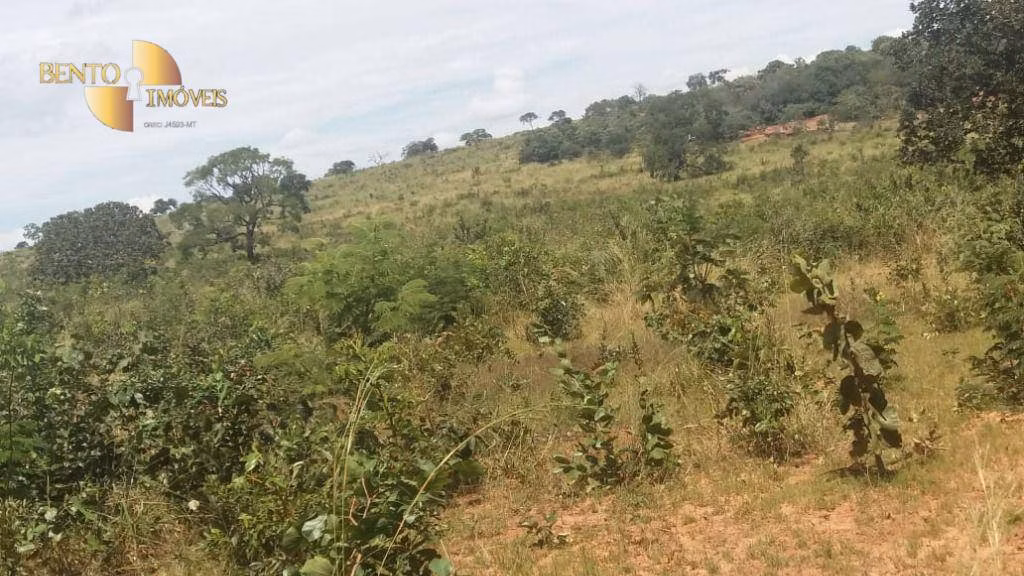 Fazenda de 3.080 ha em Guiratinga, MT
