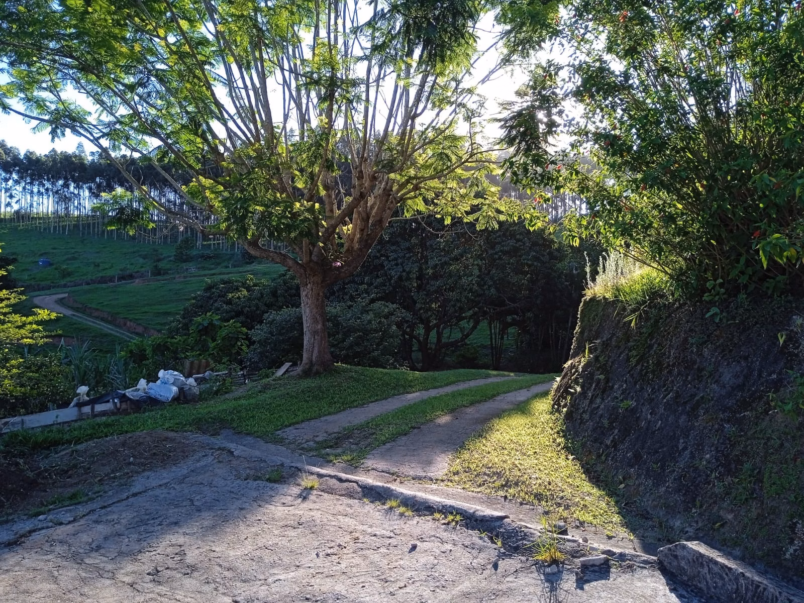 Sítio de 3 ha em Paraibuna, SP