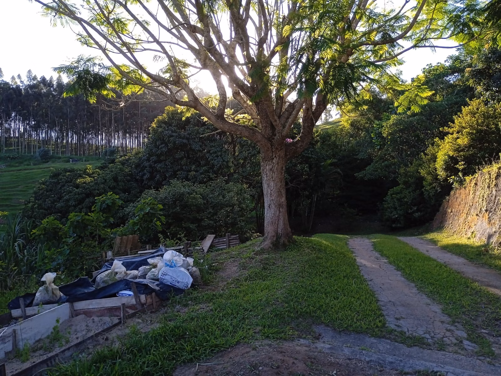 Sítio de 3 ha em Paraibuna, SP