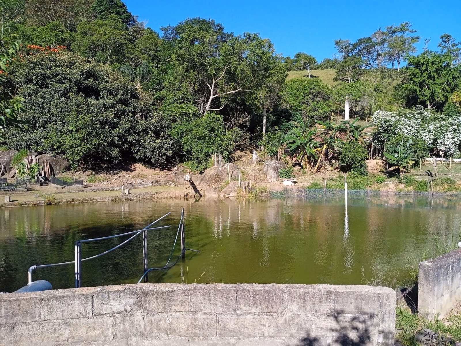 Sítio de 3 ha em Paraibuna, SP