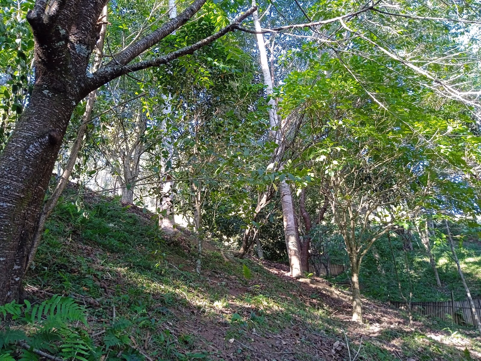 Sítio de 3 ha em Paraibuna, SP