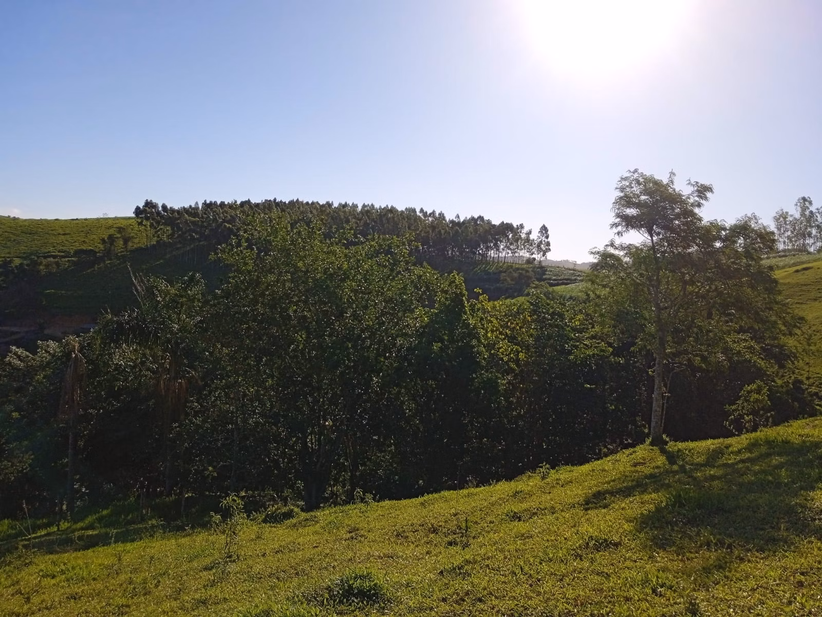 Sítio de 3 ha em Paraibuna, SP