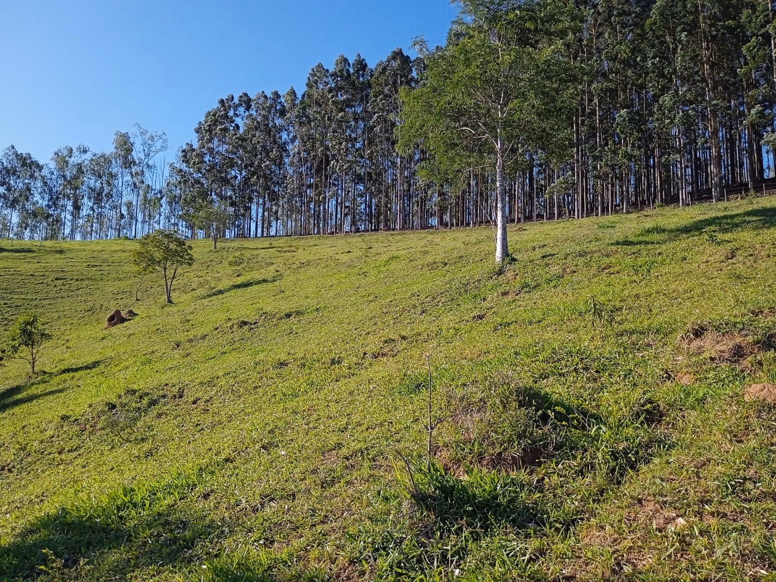Sítio de 3 ha em Paraibuna, SP