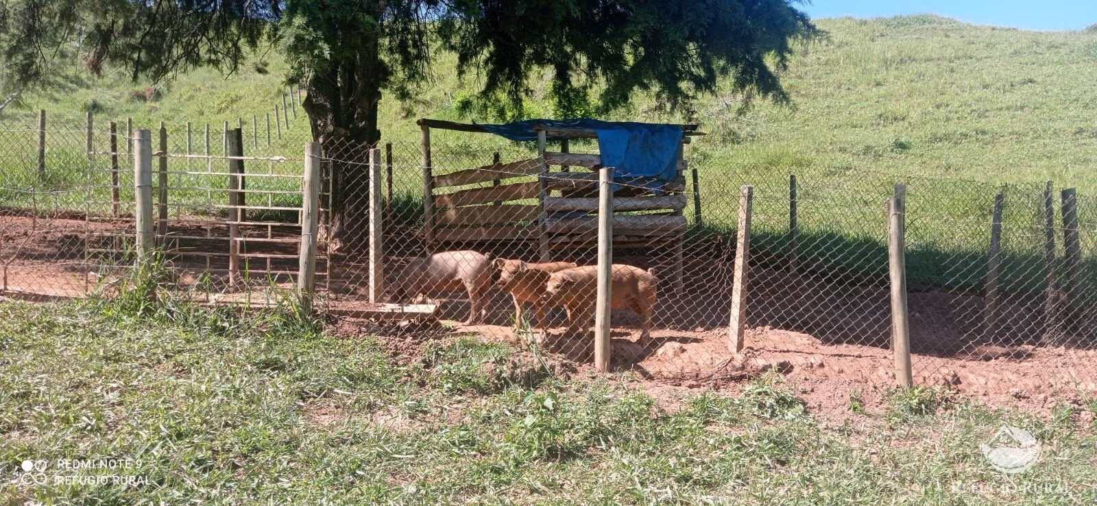 Sítio de 12 ha em São Luiz do Paraitinga, SP