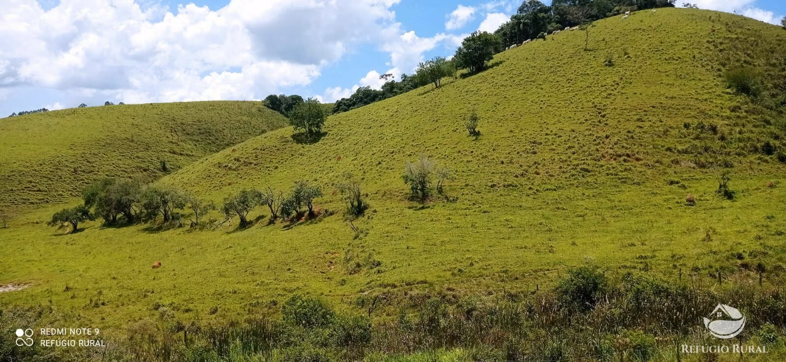 Sítio de 12 ha em São Luiz do Paraitinga, SP