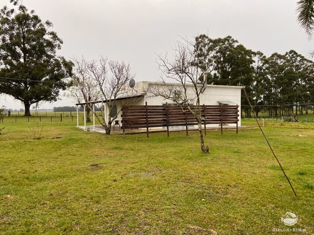 Fazenda de 7.000 ha em Jaguarão, RS