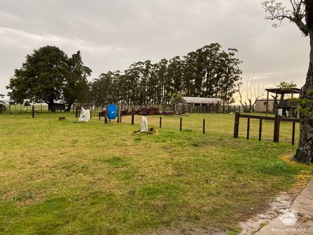 Fazenda de 7.000 ha em Jaguarão, RS