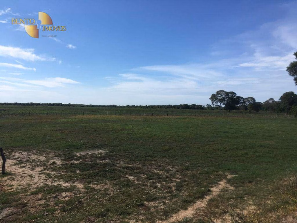 Farm of 4,695 acres in Poconé, MT, Brazil