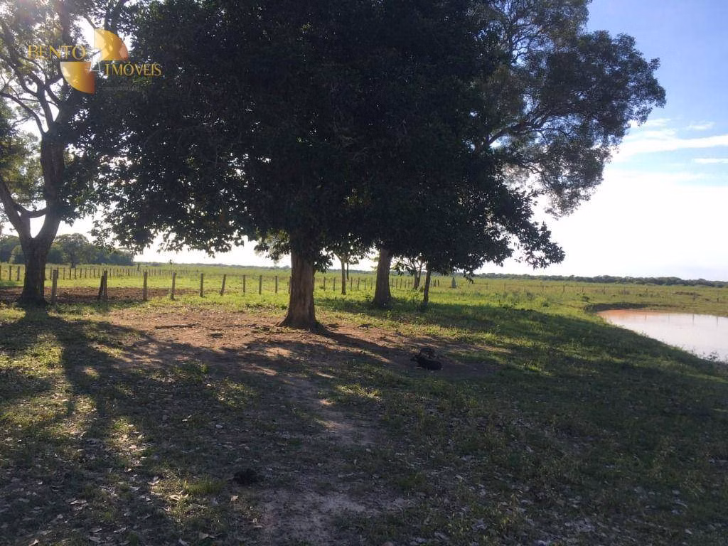 Farm of 4,695 acres in Poconé, MT, Brazil