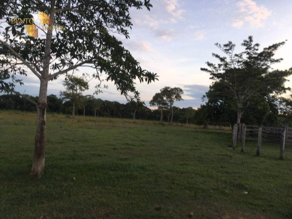 Farm of 4,695 acres in Poconé, MT, Brazil