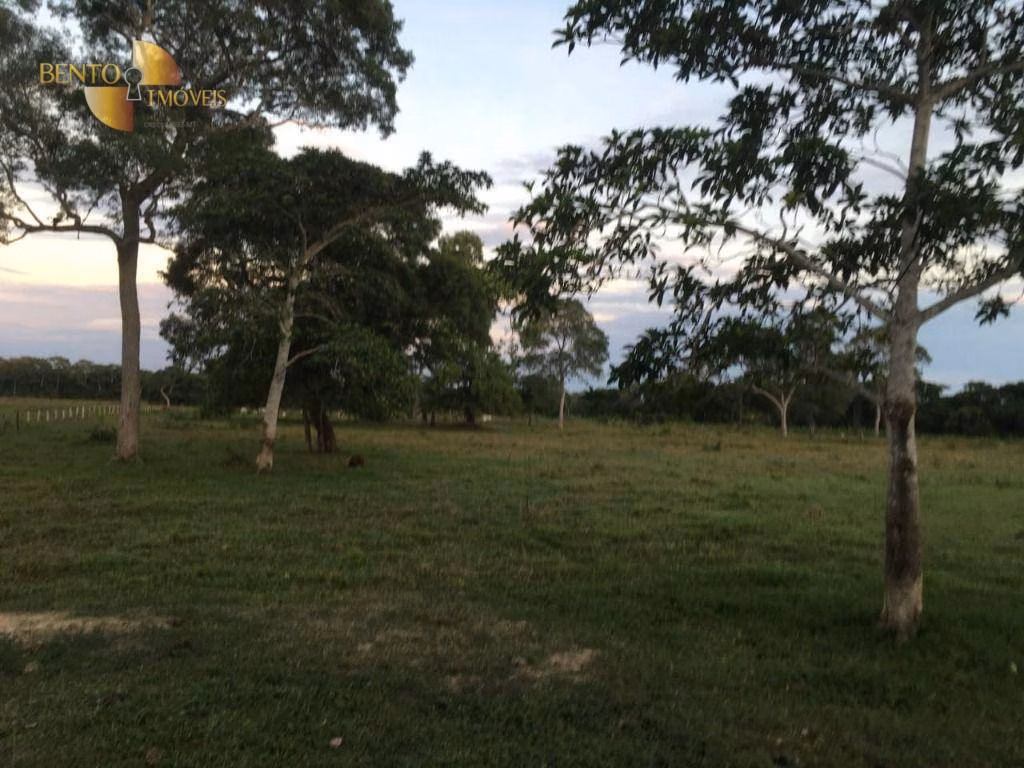 Farm of 4,695 acres in Poconé, MT, Brazil