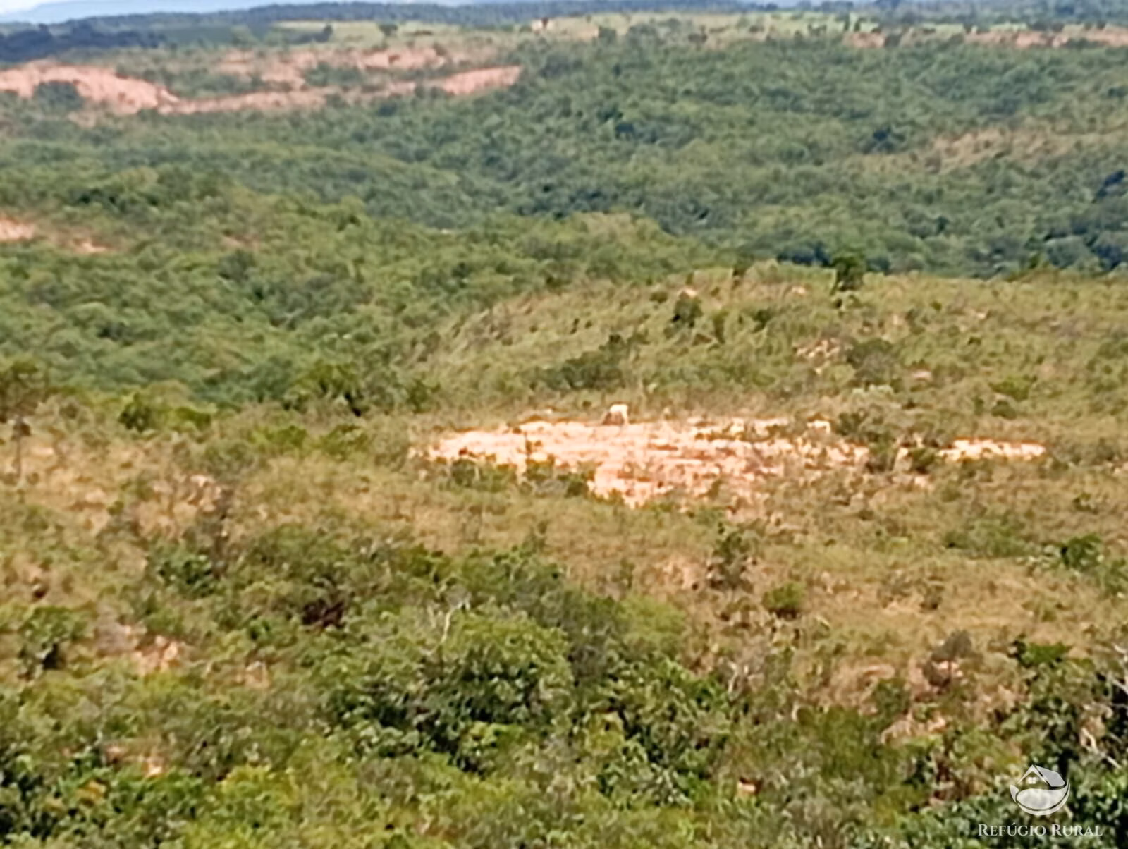 Fazenda de 1.374 ha em Presidente Olegário, MG