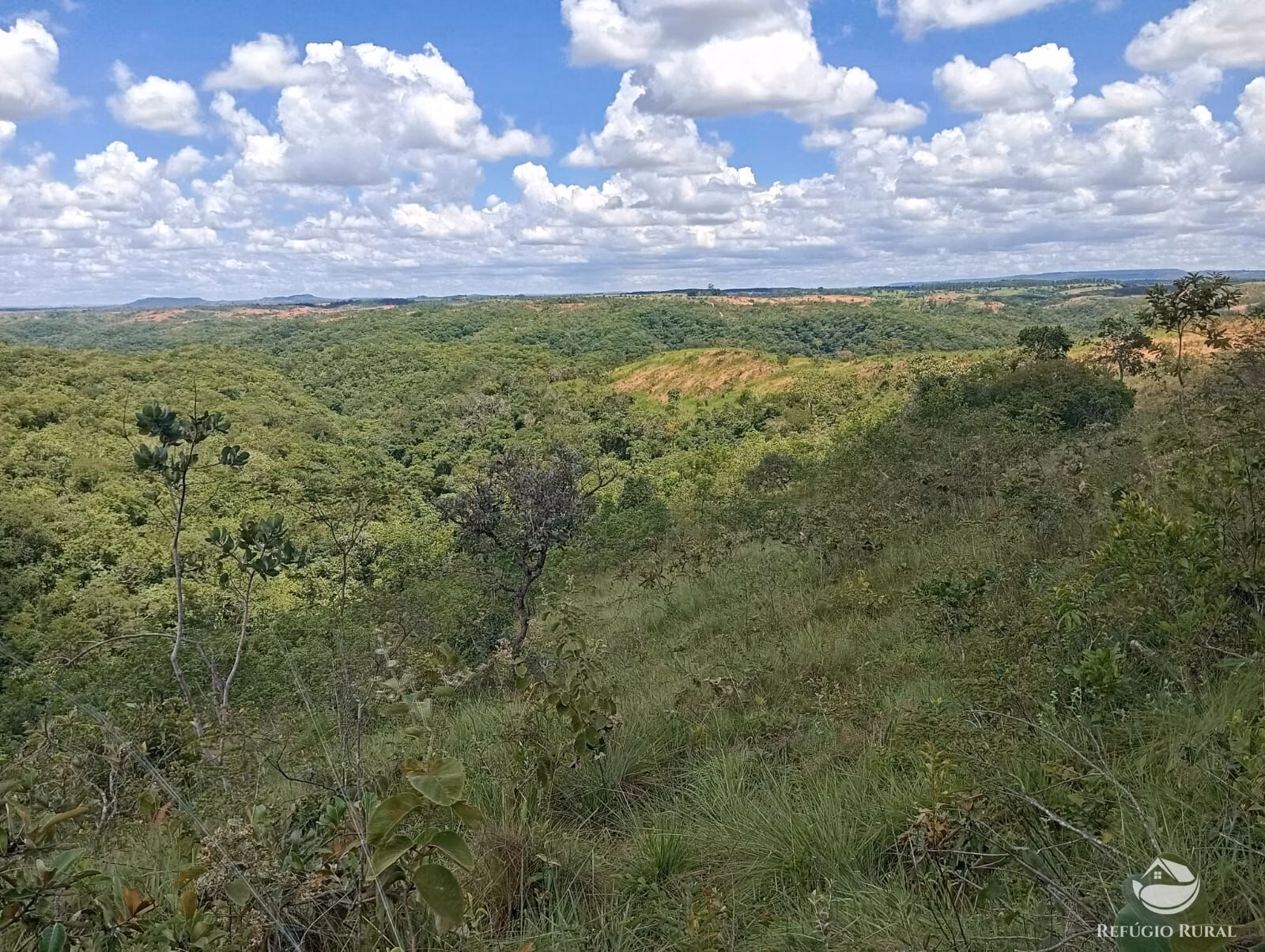 Fazenda de 1.374 ha em Presidente Olegário, MG