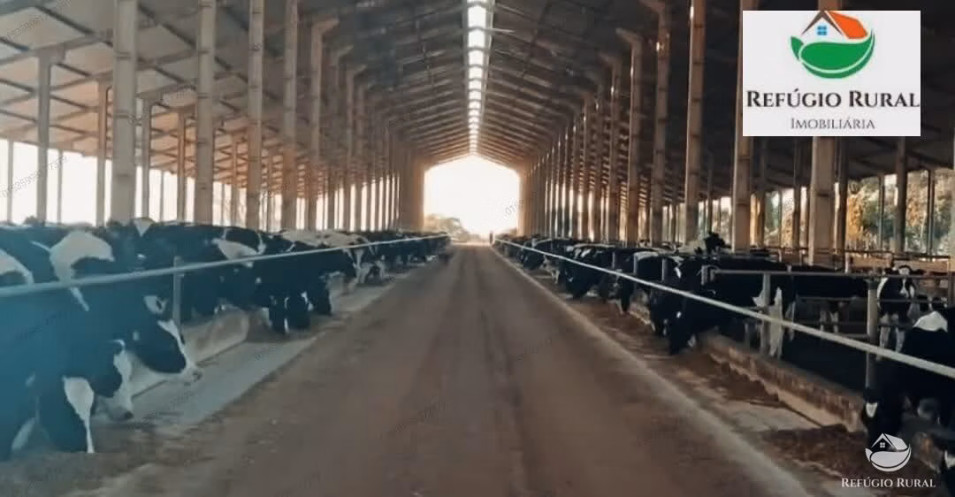 Farm of 5.384 acres in Caxambu, MG, Brazil