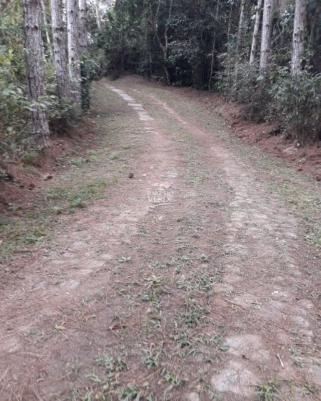 Sítio de 77 ha em Paraibuna, SP