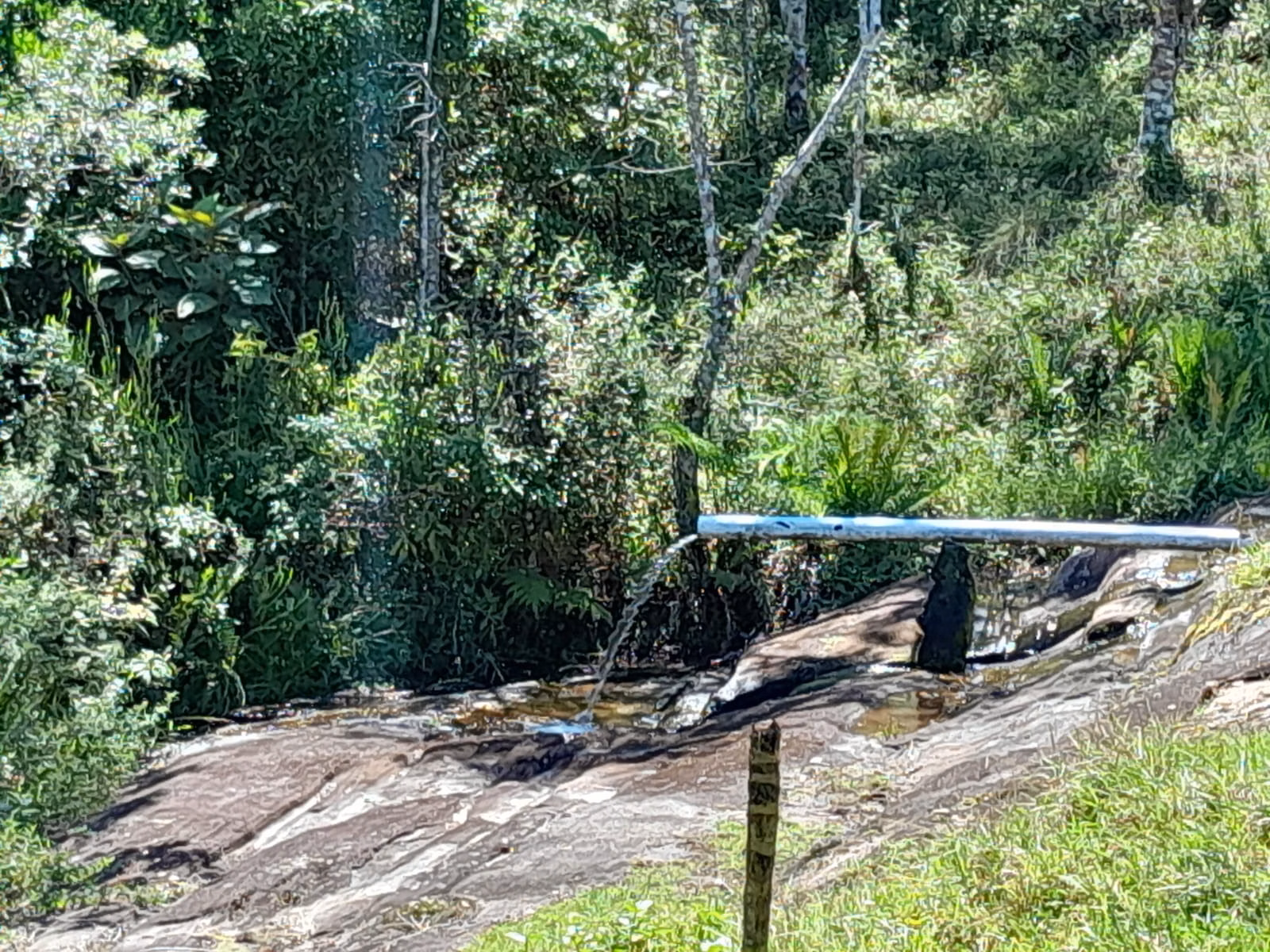 Sítio de 77 ha em Paraibuna, SP