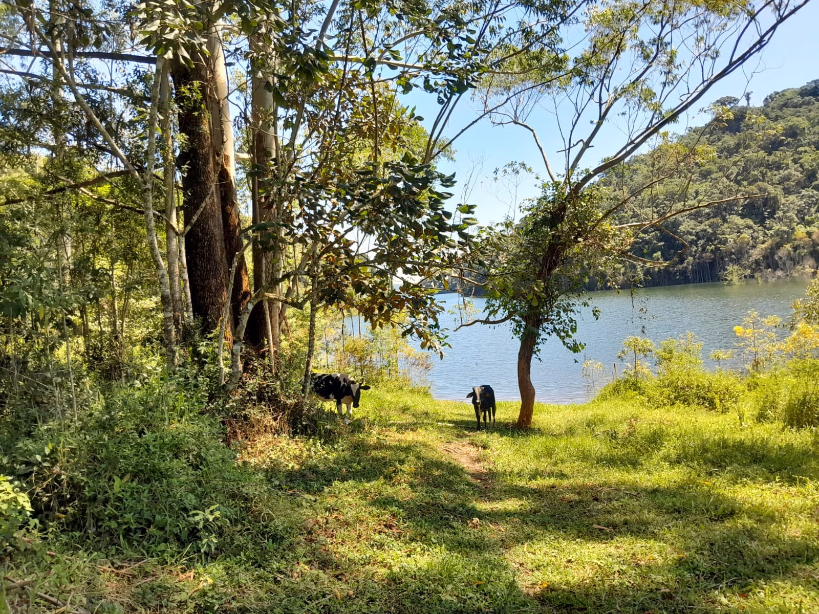 Sítio de 77 ha em Paraibuna, SP