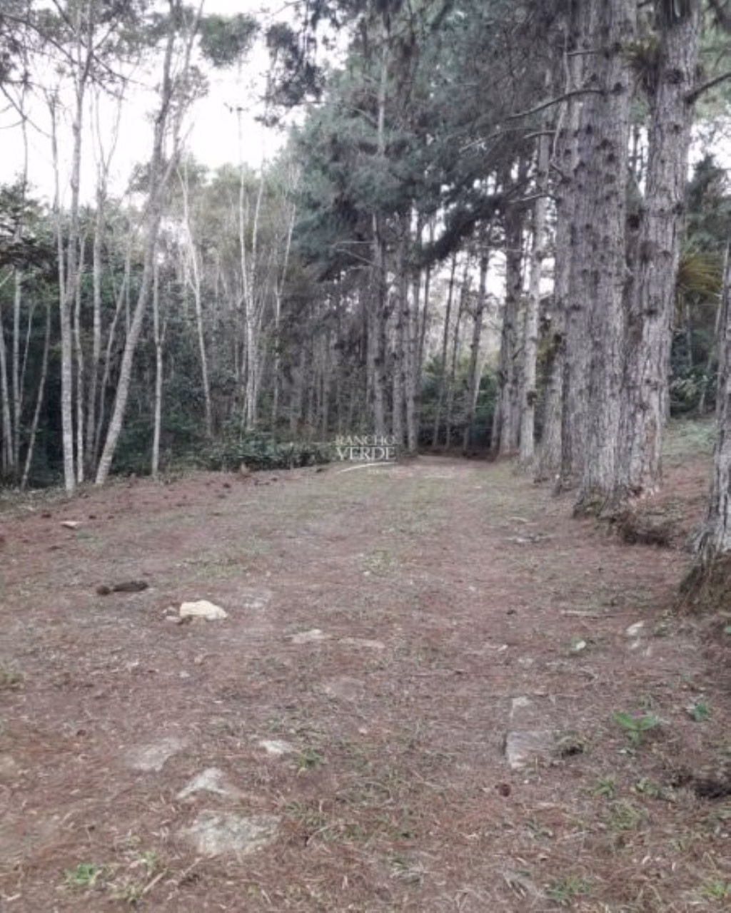 Sítio de 77 ha em Paraibuna, SP