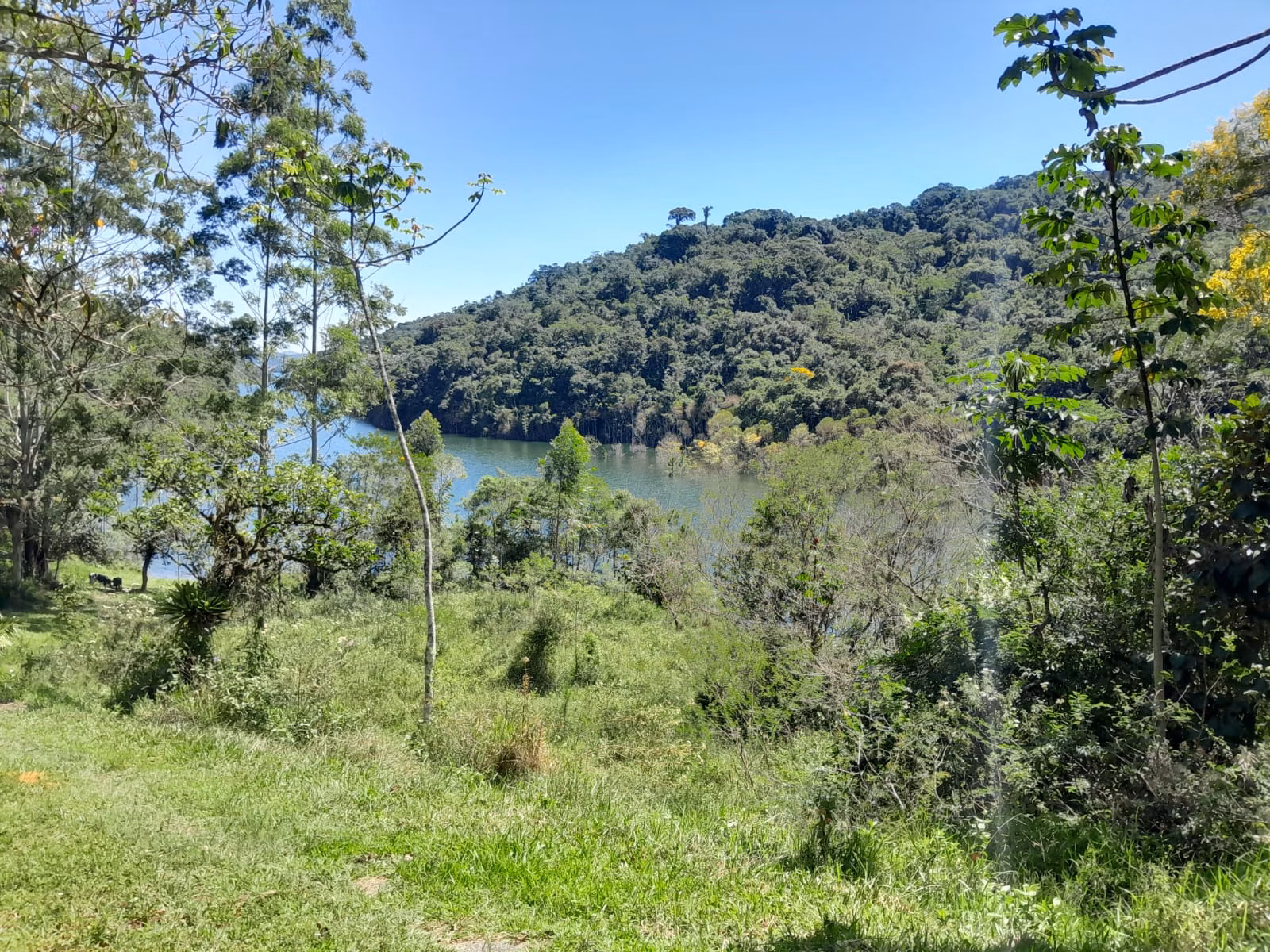 Sítio de 77 ha em Paraibuna, SP