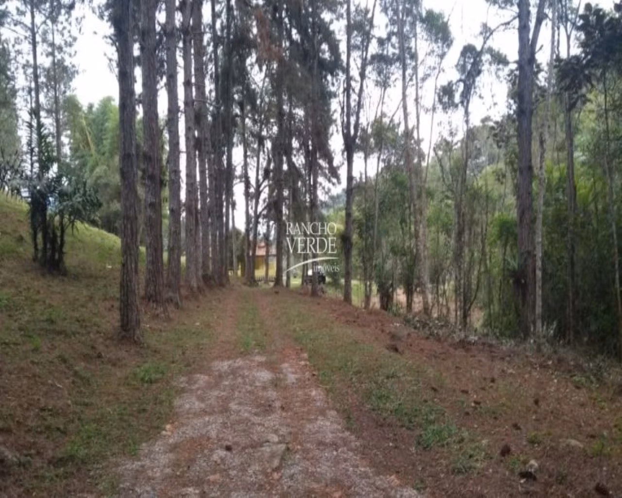 Sítio de 77 ha em Paraibuna, SP
