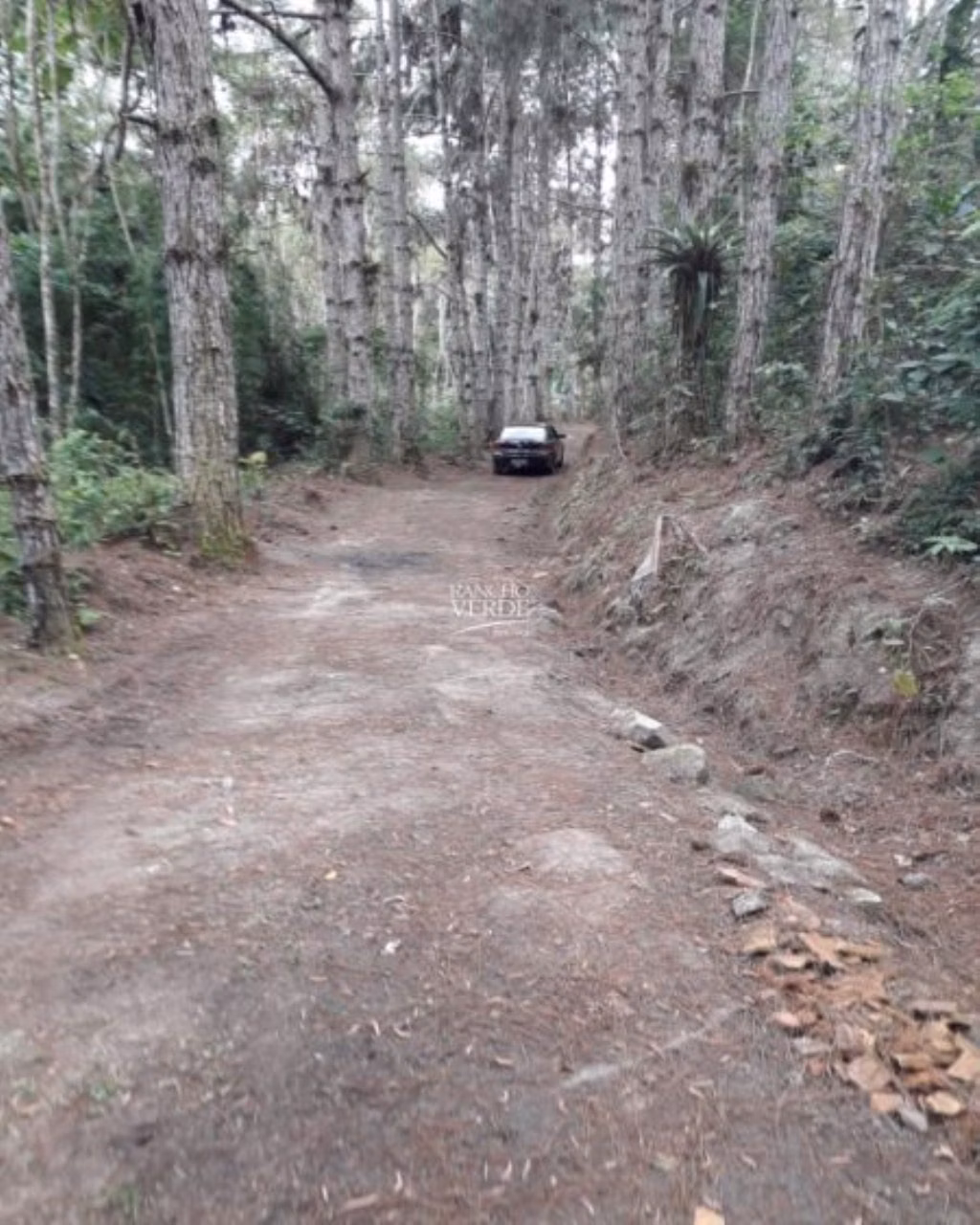 Sítio de 77 ha em Paraibuna, SP