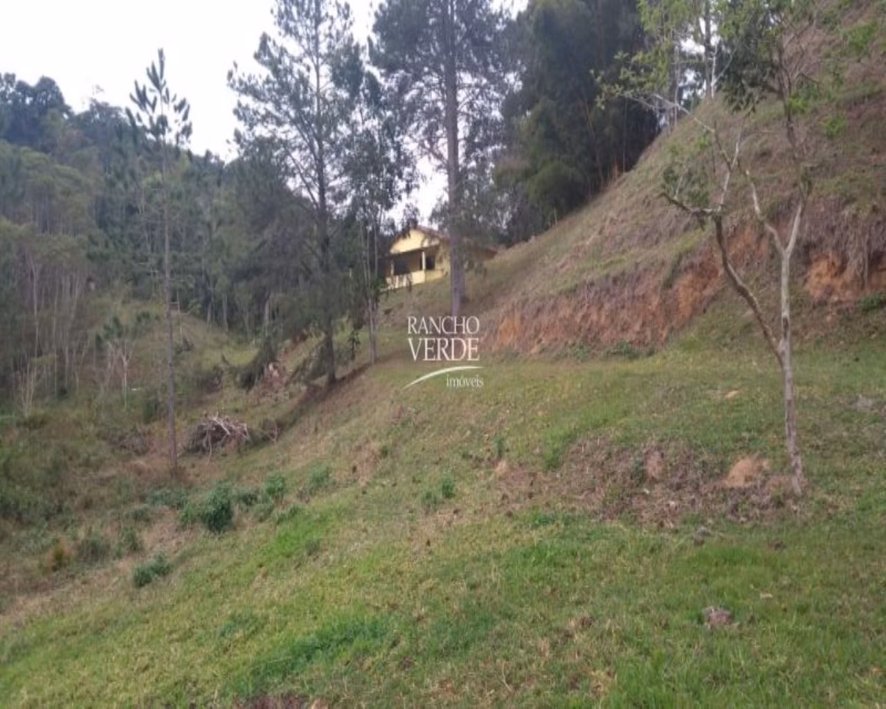 Sítio de 77 ha em Paraibuna, SP
