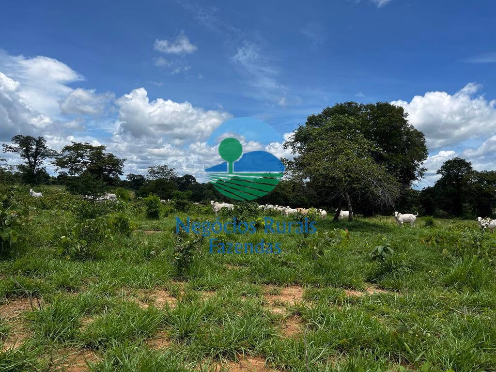Fazenda de 493 ha em Nova Crixás, GO