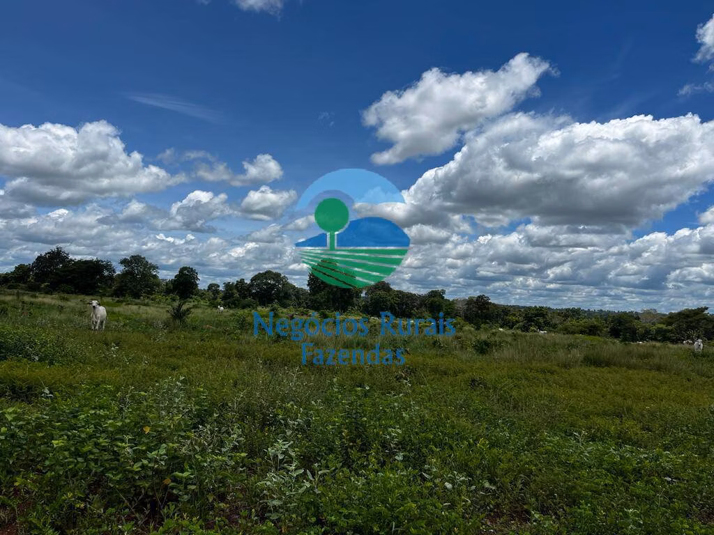 Fazenda de 493 ha em Nova Crixás, GO
