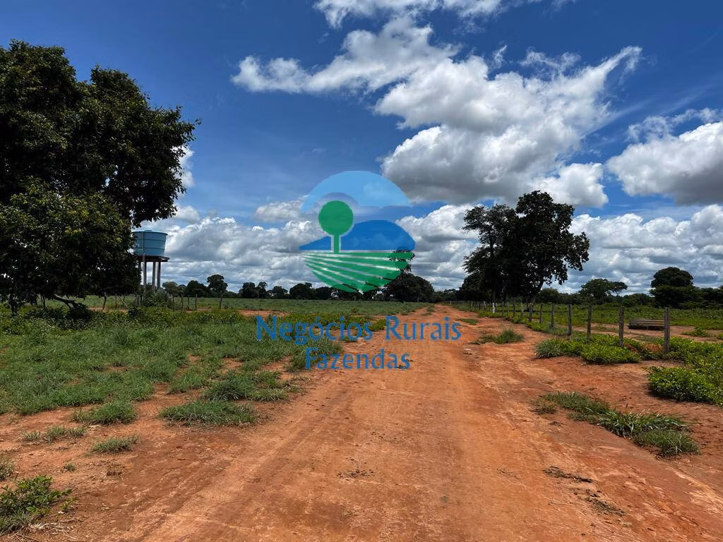 Fazenda de 493 ha em Nova Crixás, GO