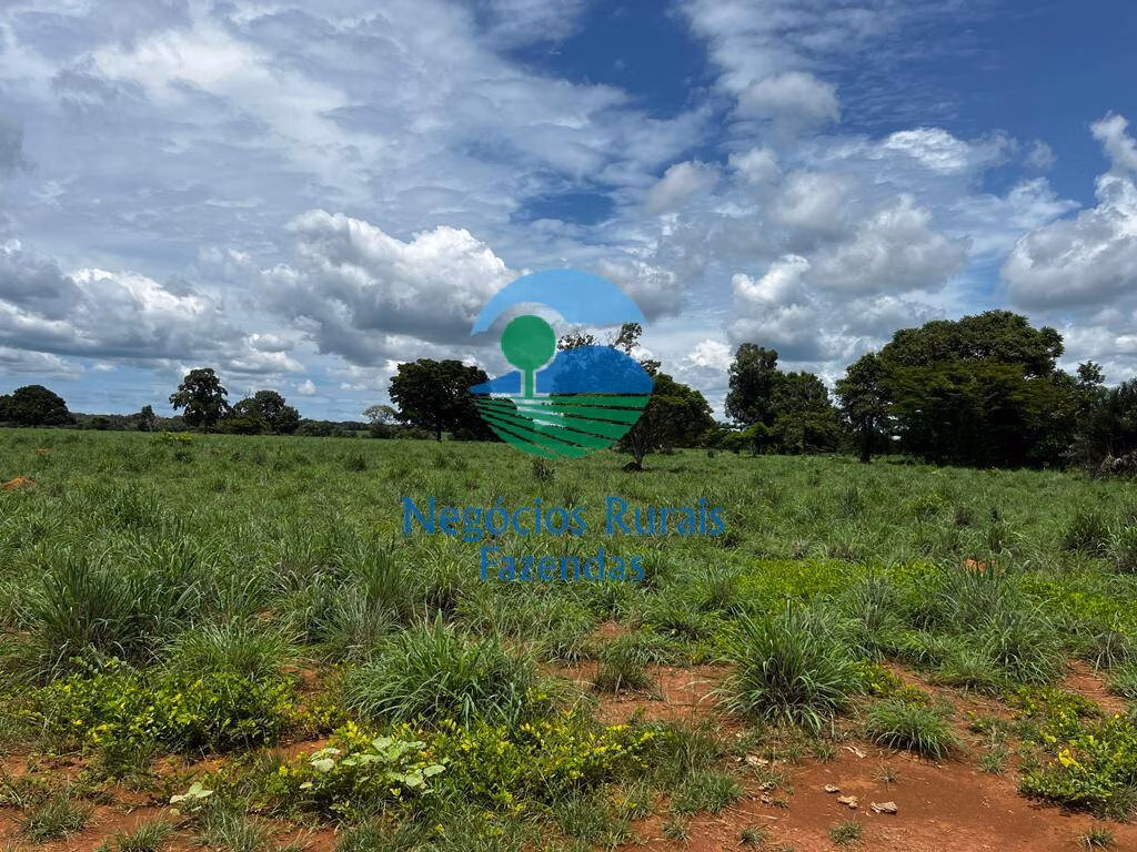 Fazenda de 493 ha em Nova Crixás, GO