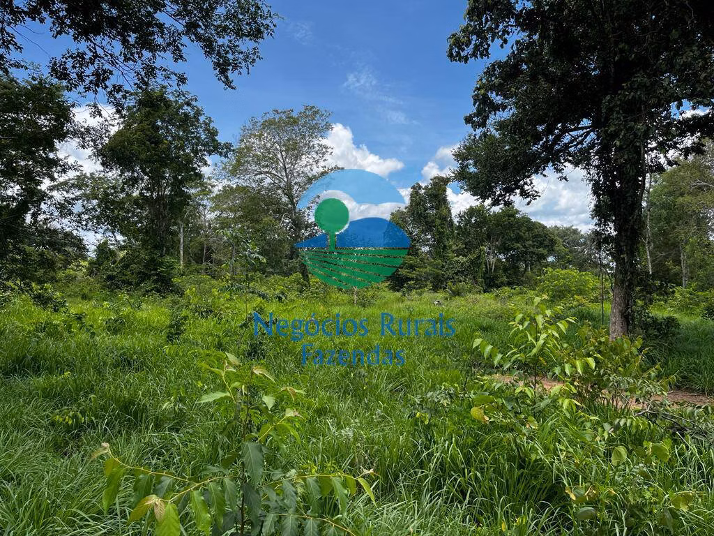 Fazenda de 493 ha em Nova Crixás, GO