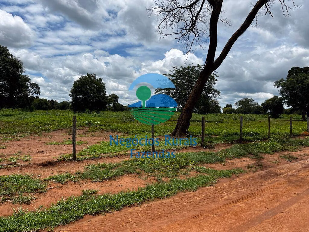 Farm of 1,218 acres in Nova Crixás, GO, Brazil