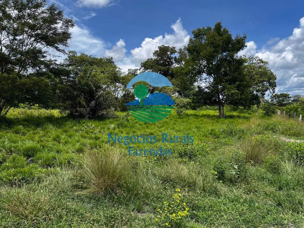 Fazenda de 493 ha em Nova Crixás, GO