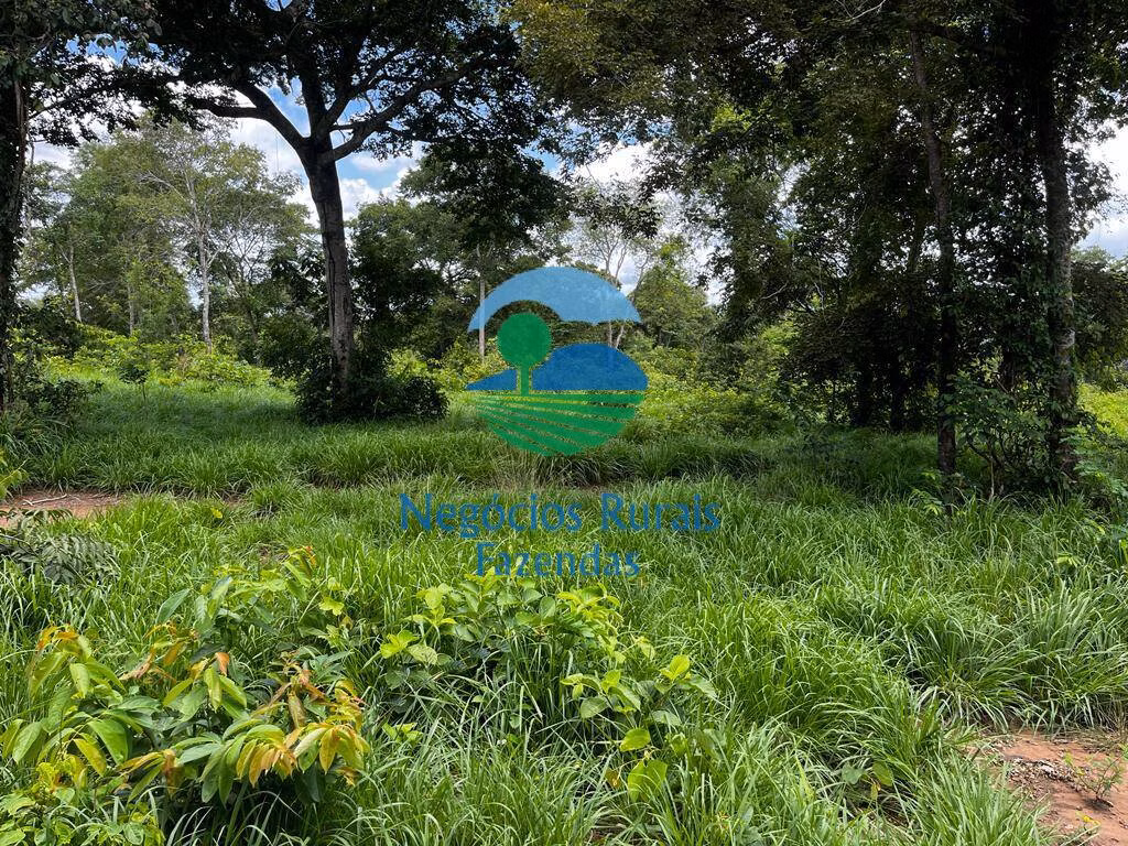 Fazenda de 493 ha em Nova Crixás, GO