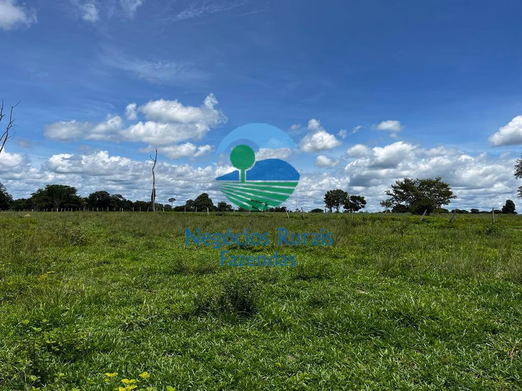 Fazenda de 493 ha em Nova Crixás, GO