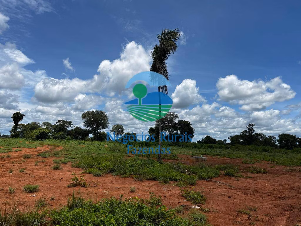 Fazenda de 493 ha em Nova Crixás, GO