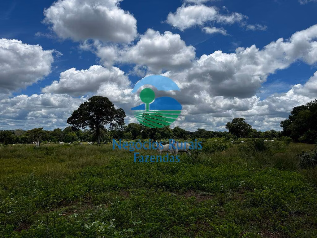 Fazenda de 493 ha em Nova Crixás, GO