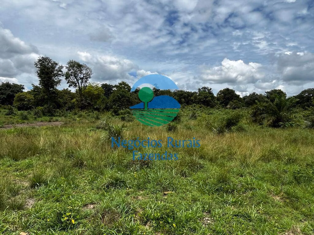Fazenda de 493 ha em Nova Crixás, GO