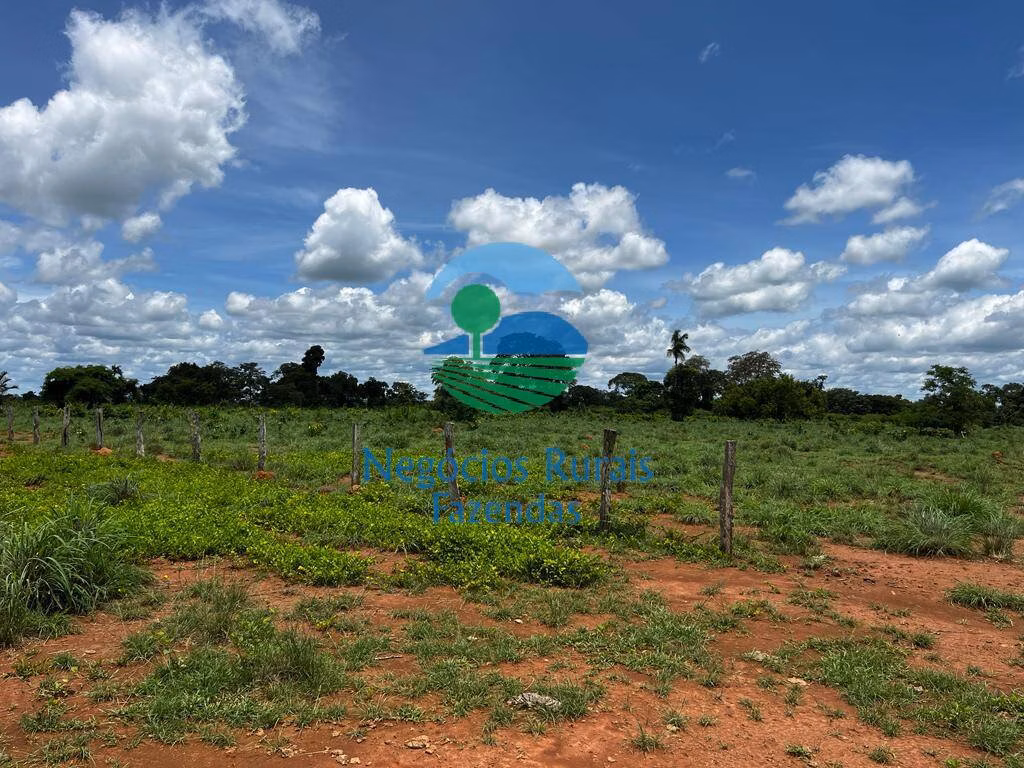 Fazenda de 493 ha em Nova Crixás, GO
