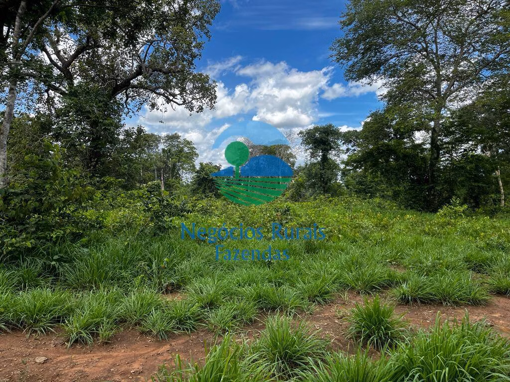 Fazenda de 493 ha em Nova Crixás, GO